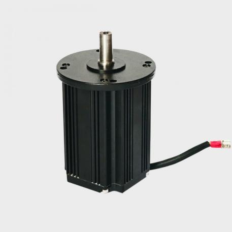 Permanentmagnet Generator 500W/750W/1kw 