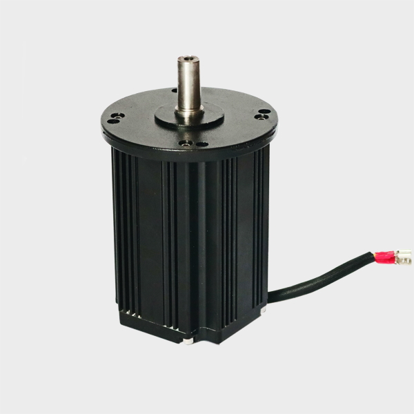 Permanentmagnet Generator 500W/750W/1kw